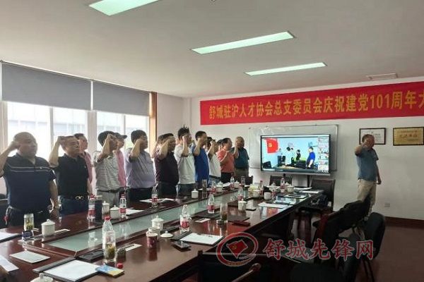 中共舒城县在上海人才协会总支纪念建党101周年活动