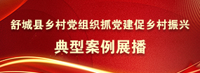 舒城县乡村党组织抓党建促乡村振兴典型案例展播