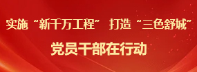 实施“新千万工程” 打造“三色舒城” 党员干部在行动